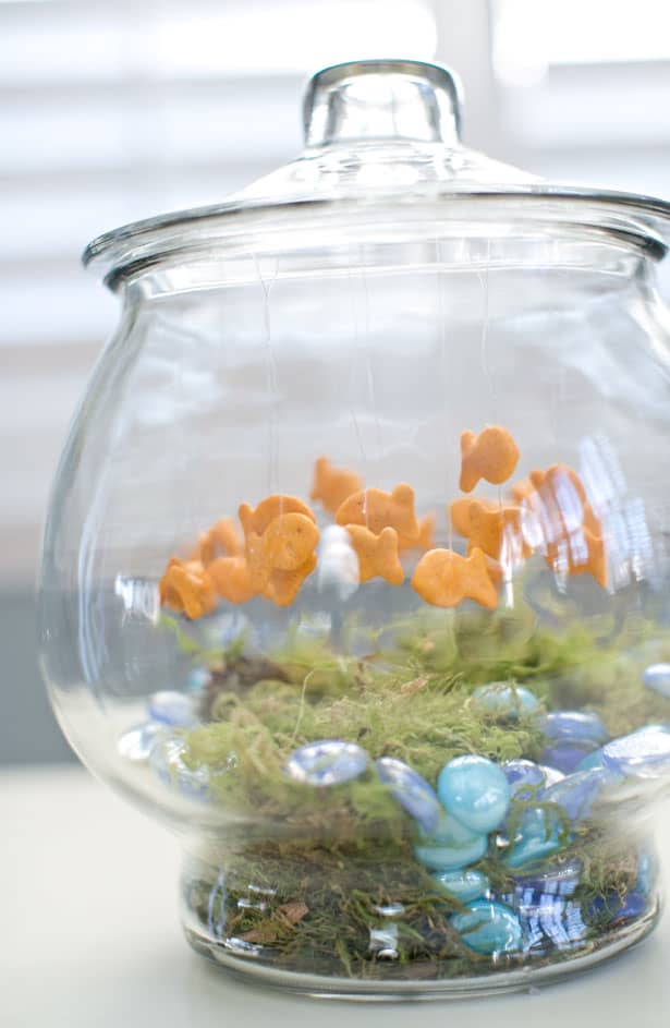 100 DAYS OF SCHOOL PROJECT: GOLDFISH BOWL