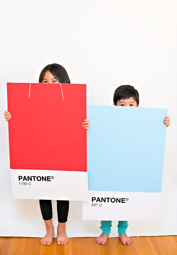 PANTONE COLOR CHIPS: EASY DIY HALLOWEEEN COSTUME