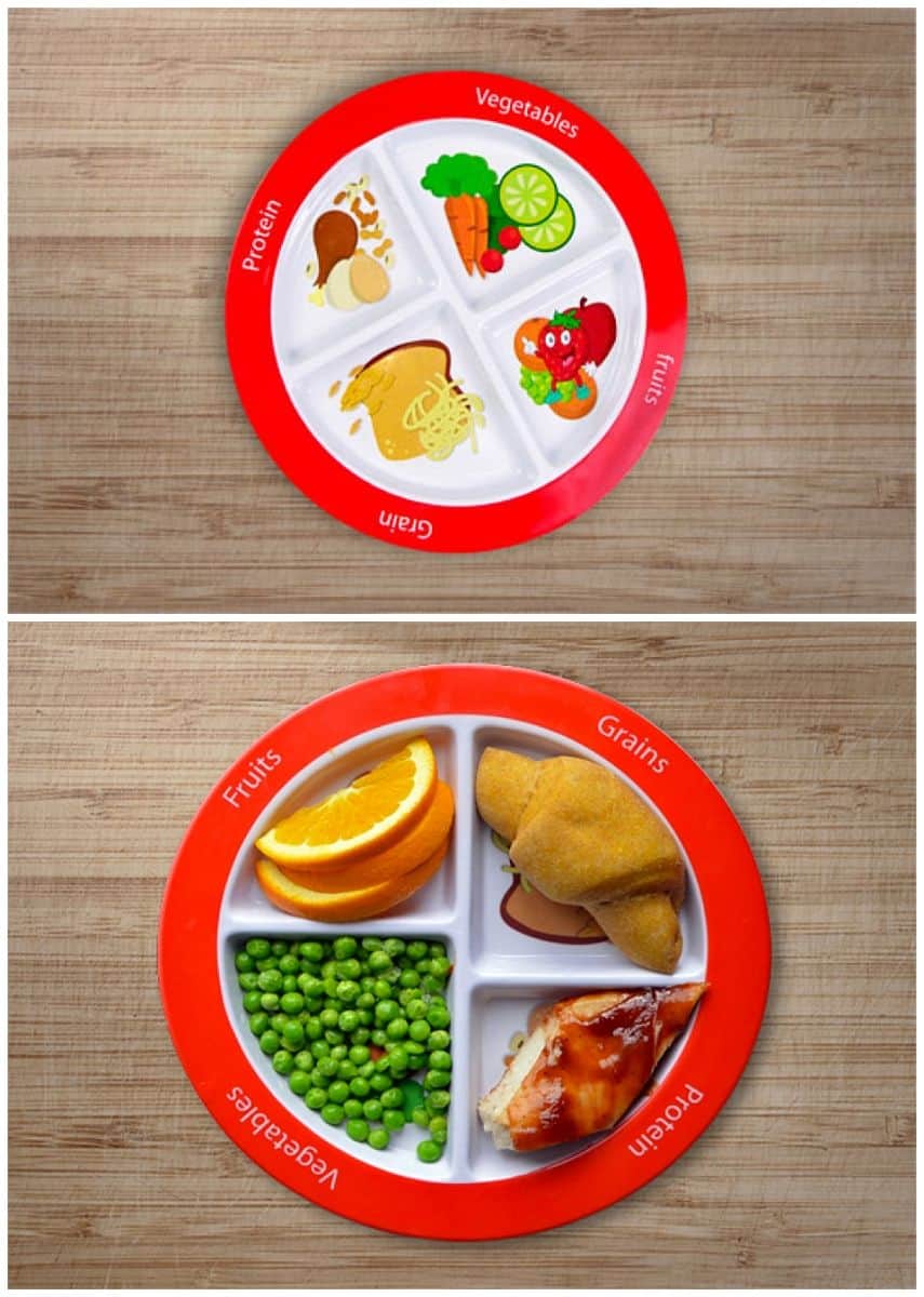 Healthy Food Plate For Children