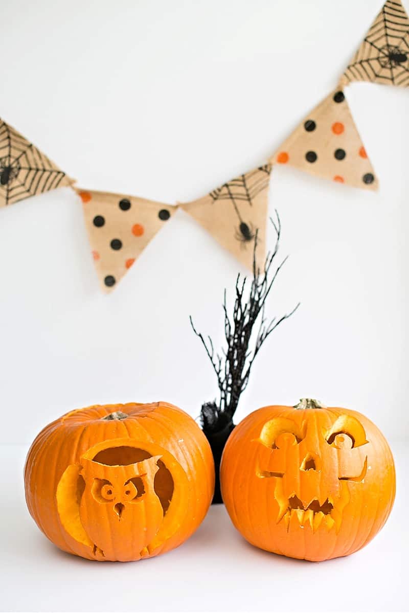 Pumpkin display showing owl and monster display