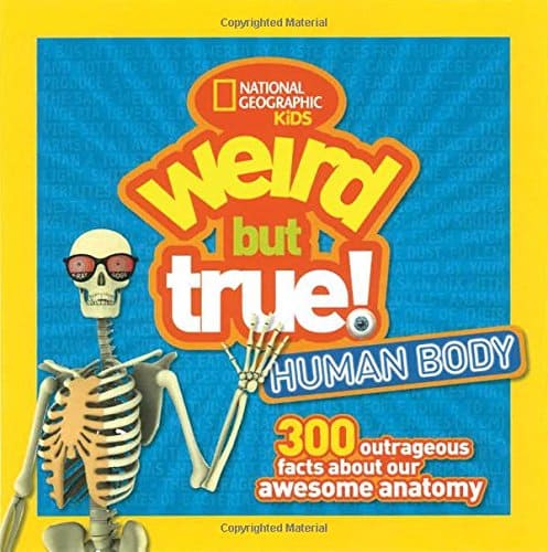 10 Fun Ways To Teach Kids Anatomy