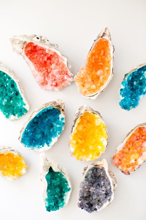 An assortment of colorful crystal shells on a white table. 