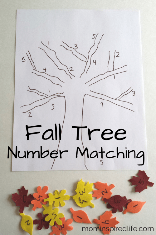 8 ENGAGING FALL LEARNING ACTIVITIES FOR KIDS