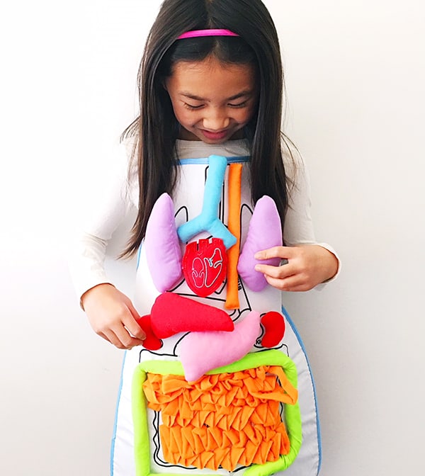 FUN ANATOMY APRON TOY FOR KIDS