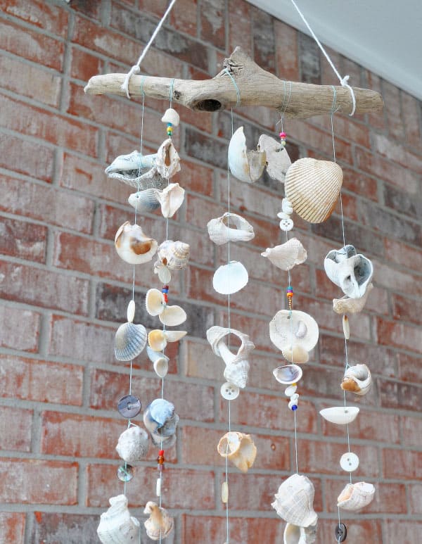 7 Creative Ways to Display Seashells - Living Porpoisefully