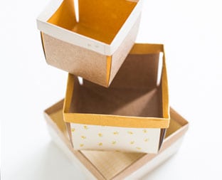DIY BERRY PAPER BOXES