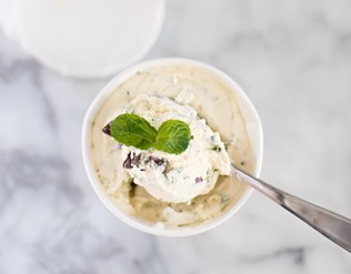 EASY NO CHURN FRESH MINT CHOCOLATE CHIP ICE CREAM