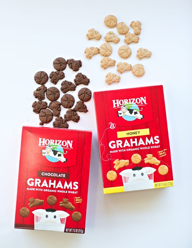 11minigrahamcrackerfrozenyogurtsandwicheskidsnack Hello Wonderful