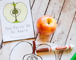 10 FUN PRESCHOOL APPLE LEARNING ACTIVITIES