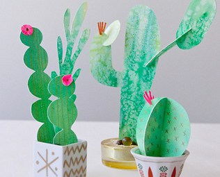 Cactus crafts discount