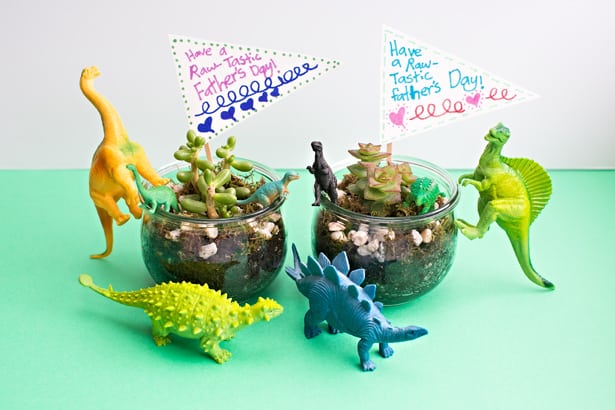 DIY DINOSUAR TERRAIUMS