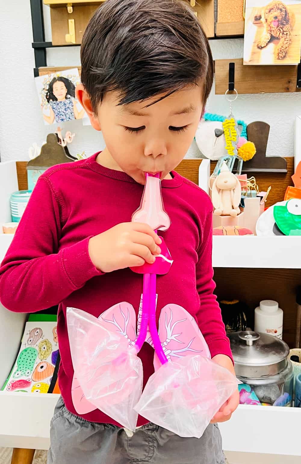 how to make a lung model for kids