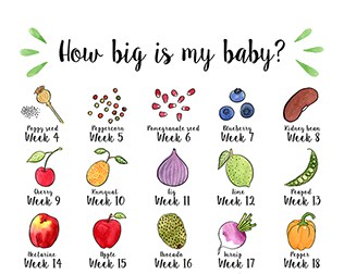How Big Is My Baby Fruits And Vegetables Infographic