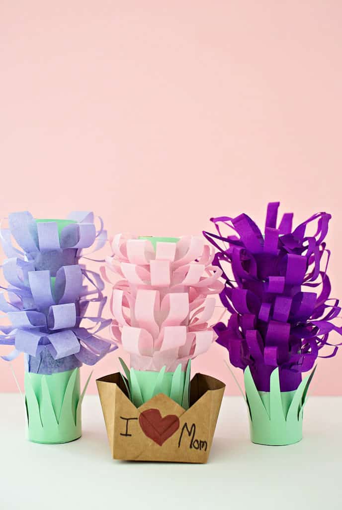 PAPER TISSUE HYACINTH FLOWER POTS hello, Wonderful
