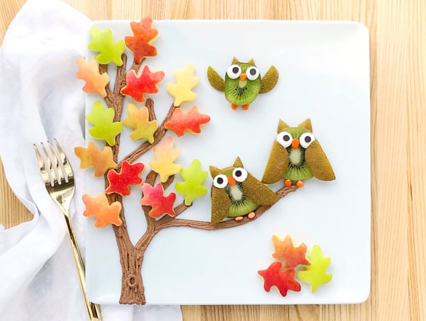 This owl fall fruit art is an adorably delicious healthy snack for kids!