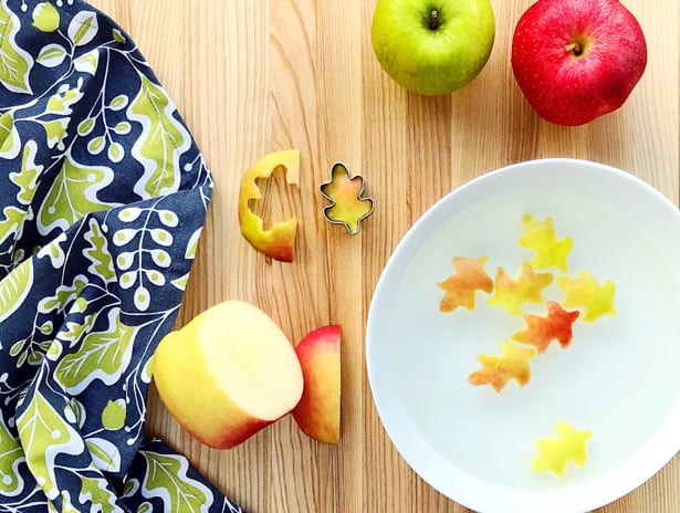 This owl fall fruit art is an adorably delicious healthy snack for kids!