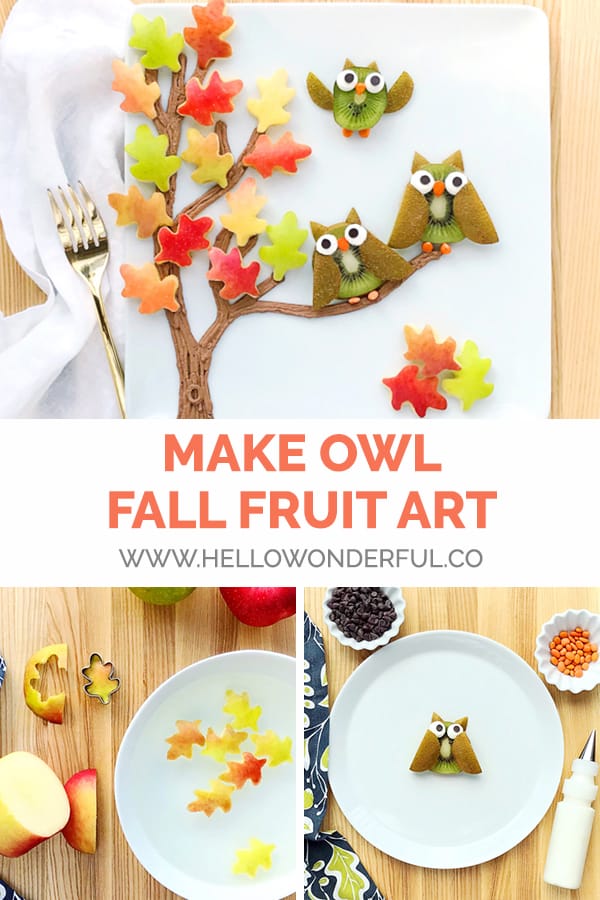 This owl fall fruit art is an adorably delicious healthy snack for kids! 