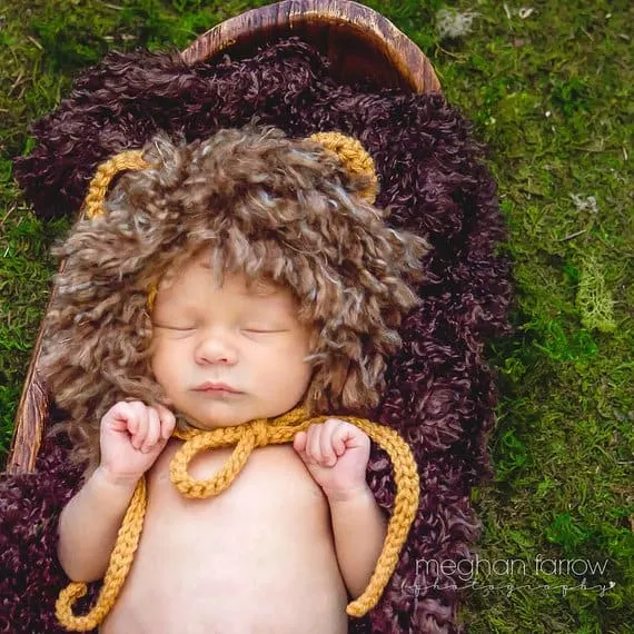 newborn baby lion halloween costume
