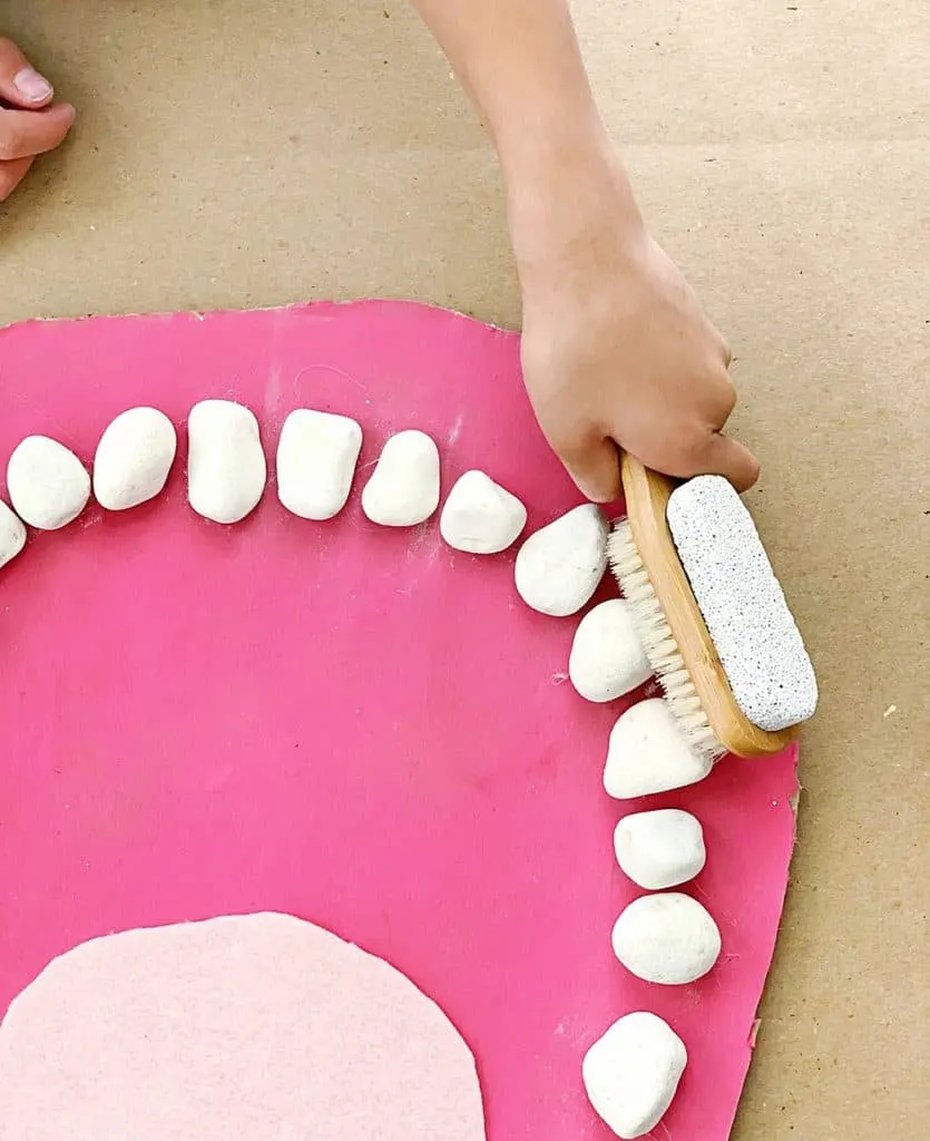 teeth mouth anatomy learning activity for kids made out of rocks and cardboard