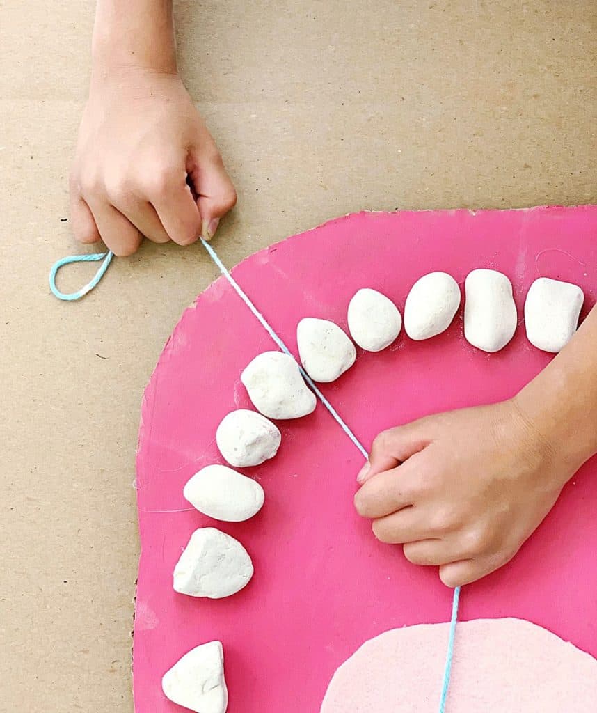 teeth mouth anatomy learning activity for kids made out of rocks and cardboard