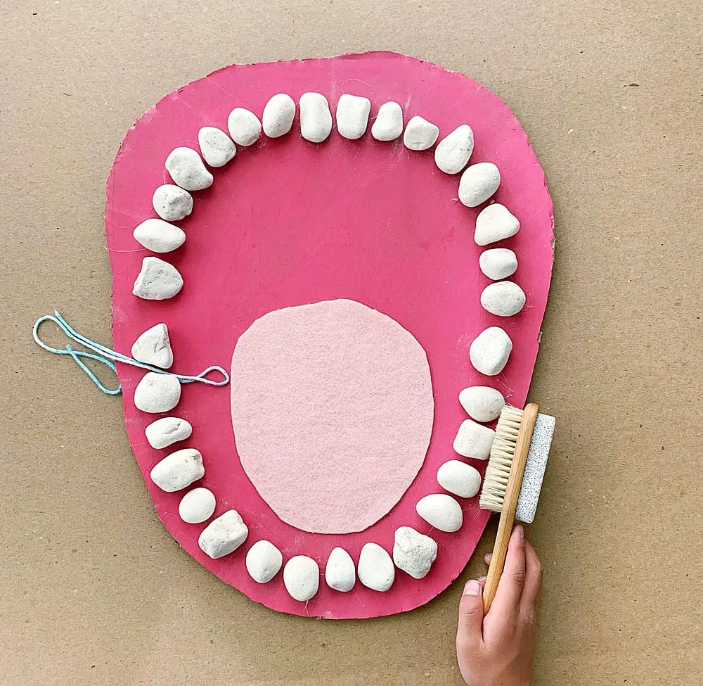 teeth mouth anatomy learning activity for kids made out of rocks and cardboard