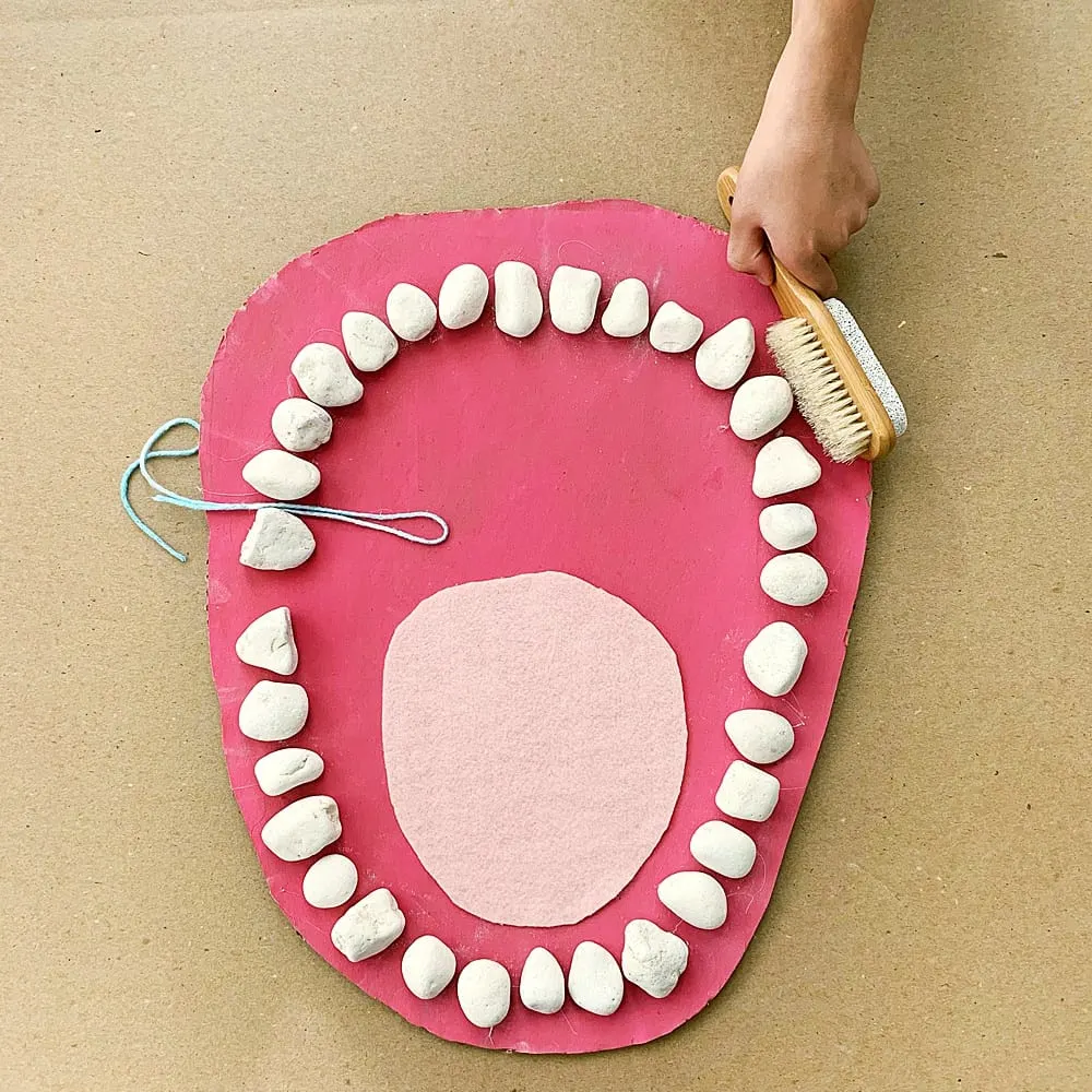 teeth mouth anatomy learning activity for kids made out of rocks and cardboard