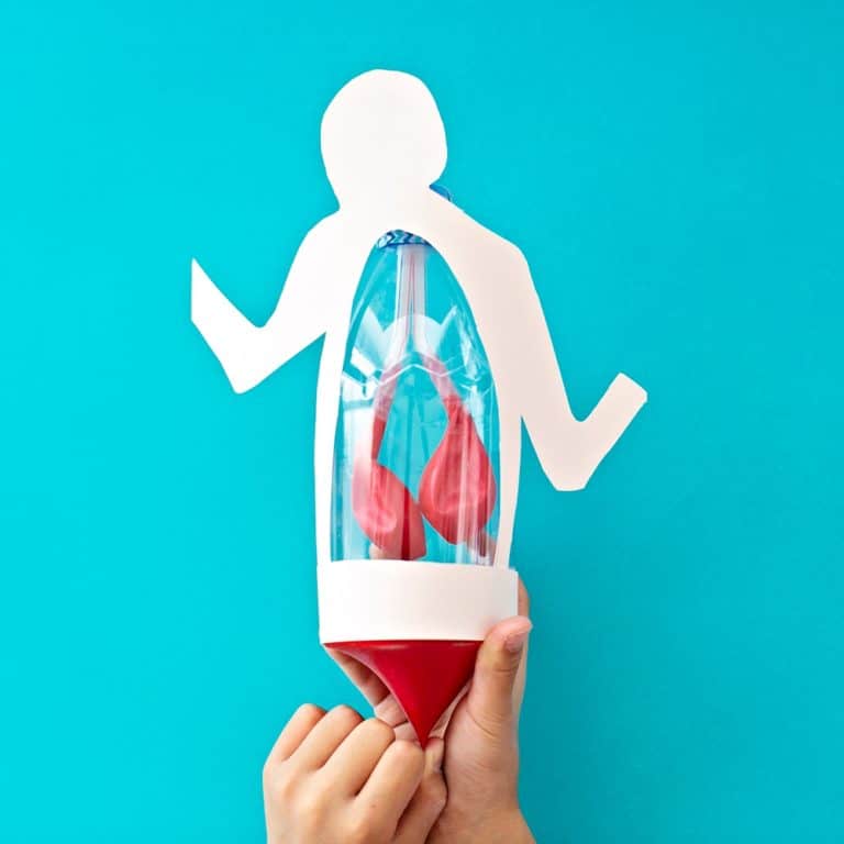 LUNG ANATOMY IN A BOTTLE ACTIVITY FOR KIDS