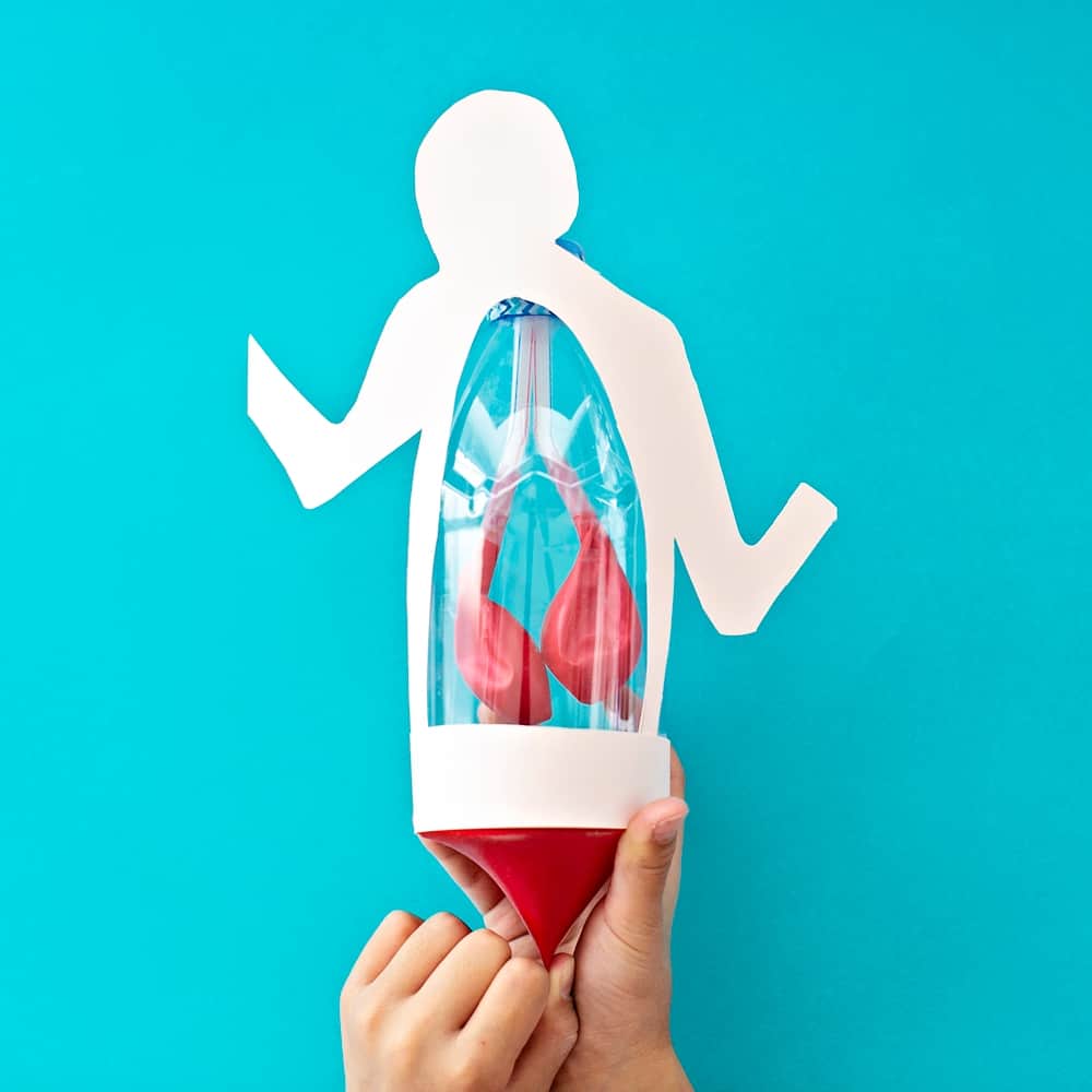 Lung Anatomy in a Bottle Activity for Kids
