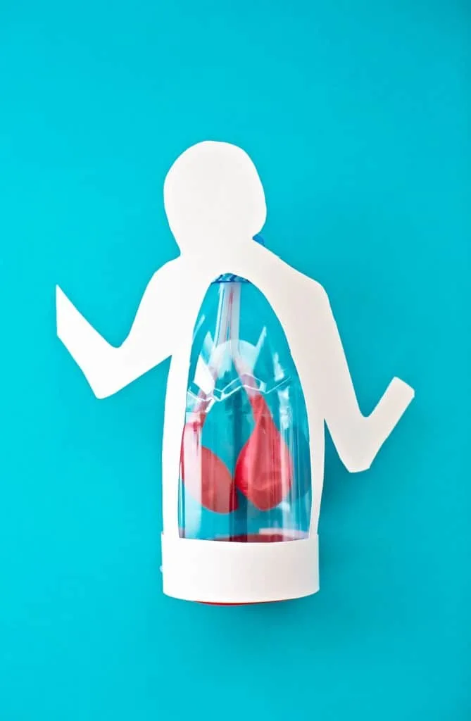 Lung Anatomy in a Bottle Activity for Kids from Maker Lab