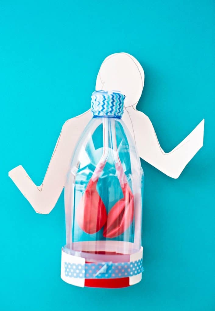 Lung Anatomy in a Bottle Activity for Kids from Maker Lab