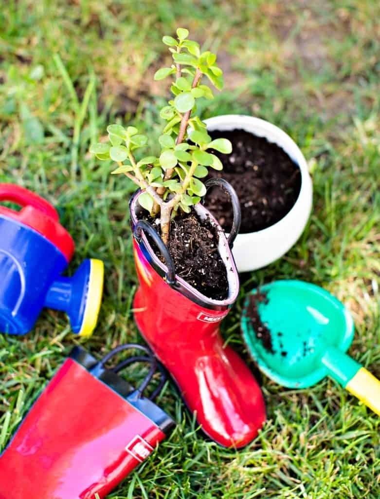 diy rain boot planters - planting with kids 