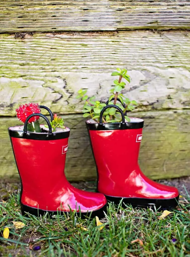 diy rain boot planters - planting with kids 
