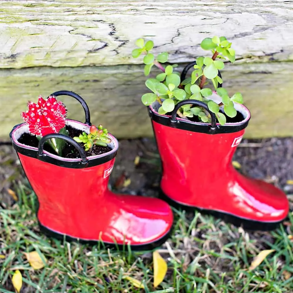 diy rain boot planters - planting with kids 