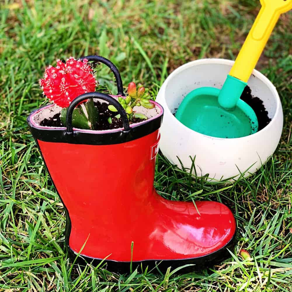 DIY Rain Boot Planters inspired by Bruce's Big Storm Book - planting with kids 