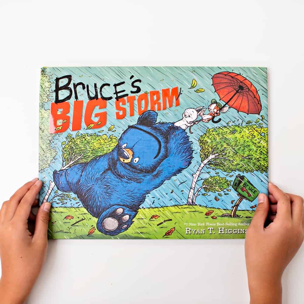 Bruce's Big Storm Book