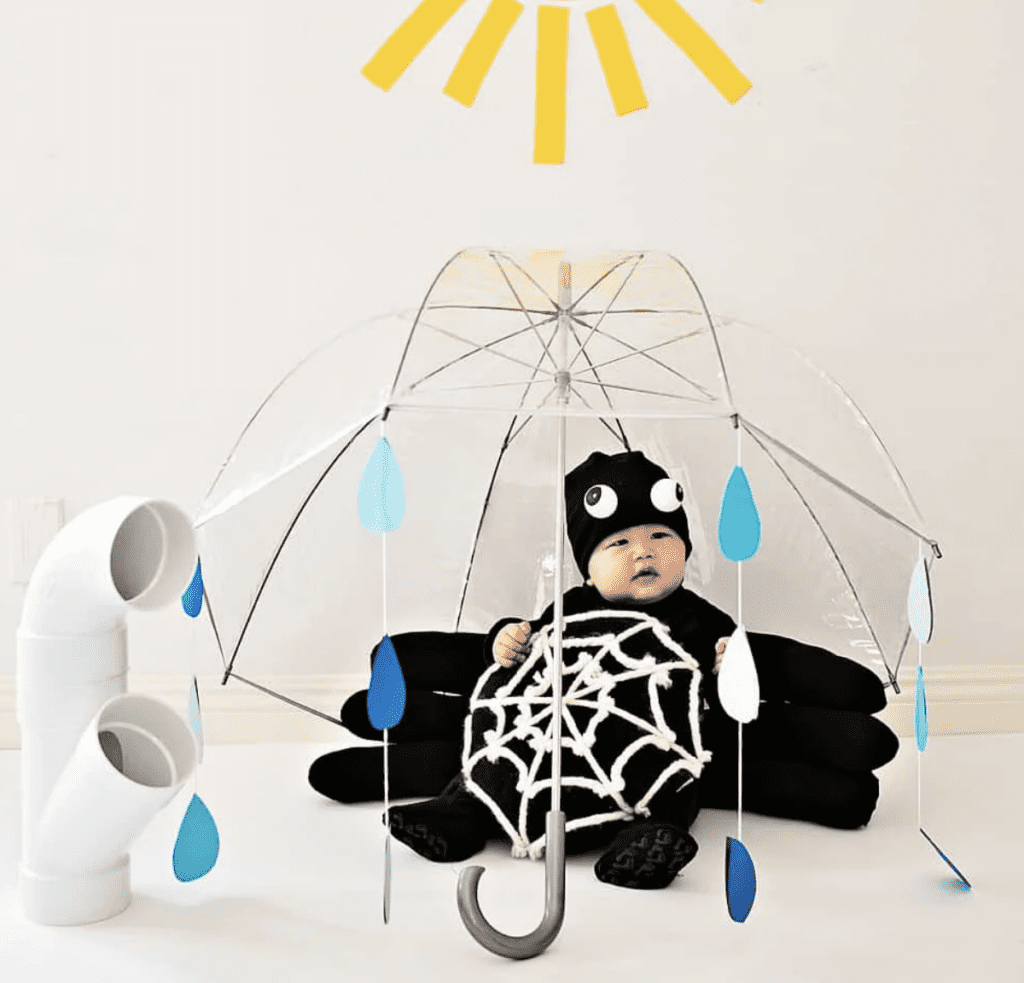 DIY Spider costume