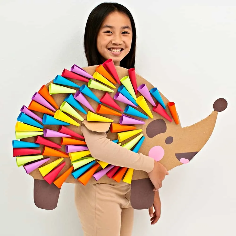 rainbow hedgehog costume for kids