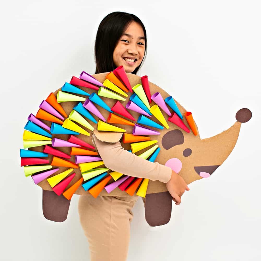 DIY Cardboard Rainbow Hedgehog Costume For Kids