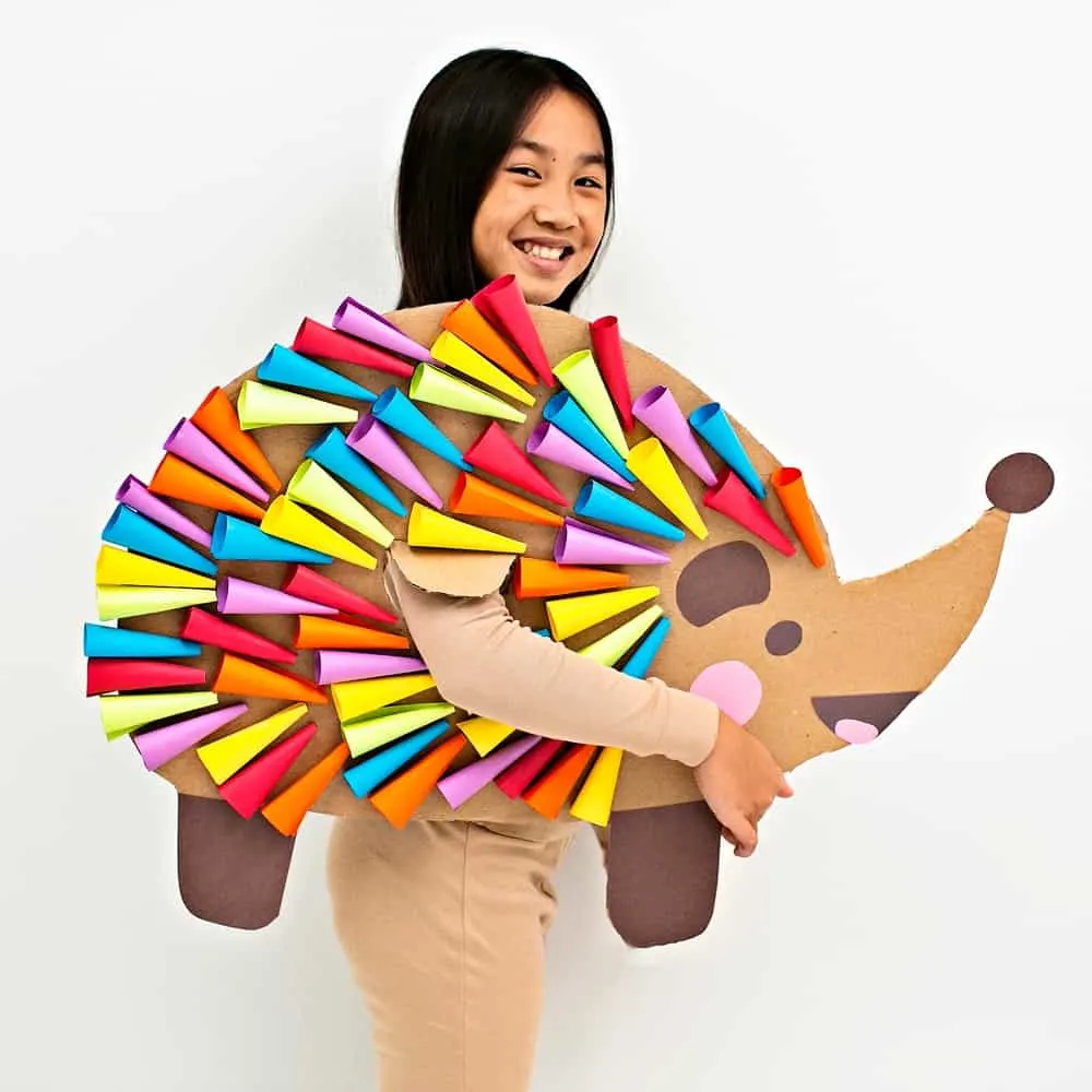 DIY Cardboard Rainbow Hedgehog Costume For Kids
