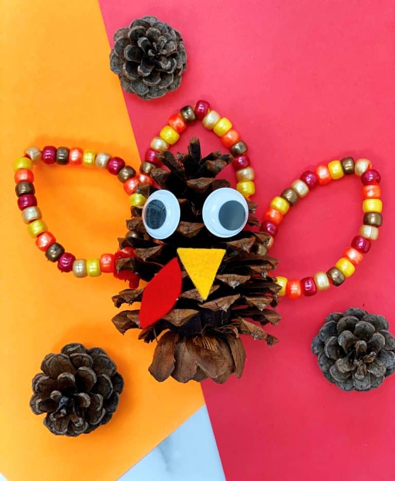 FINE MOTOR PINE CONE TURKEY CRAFT
