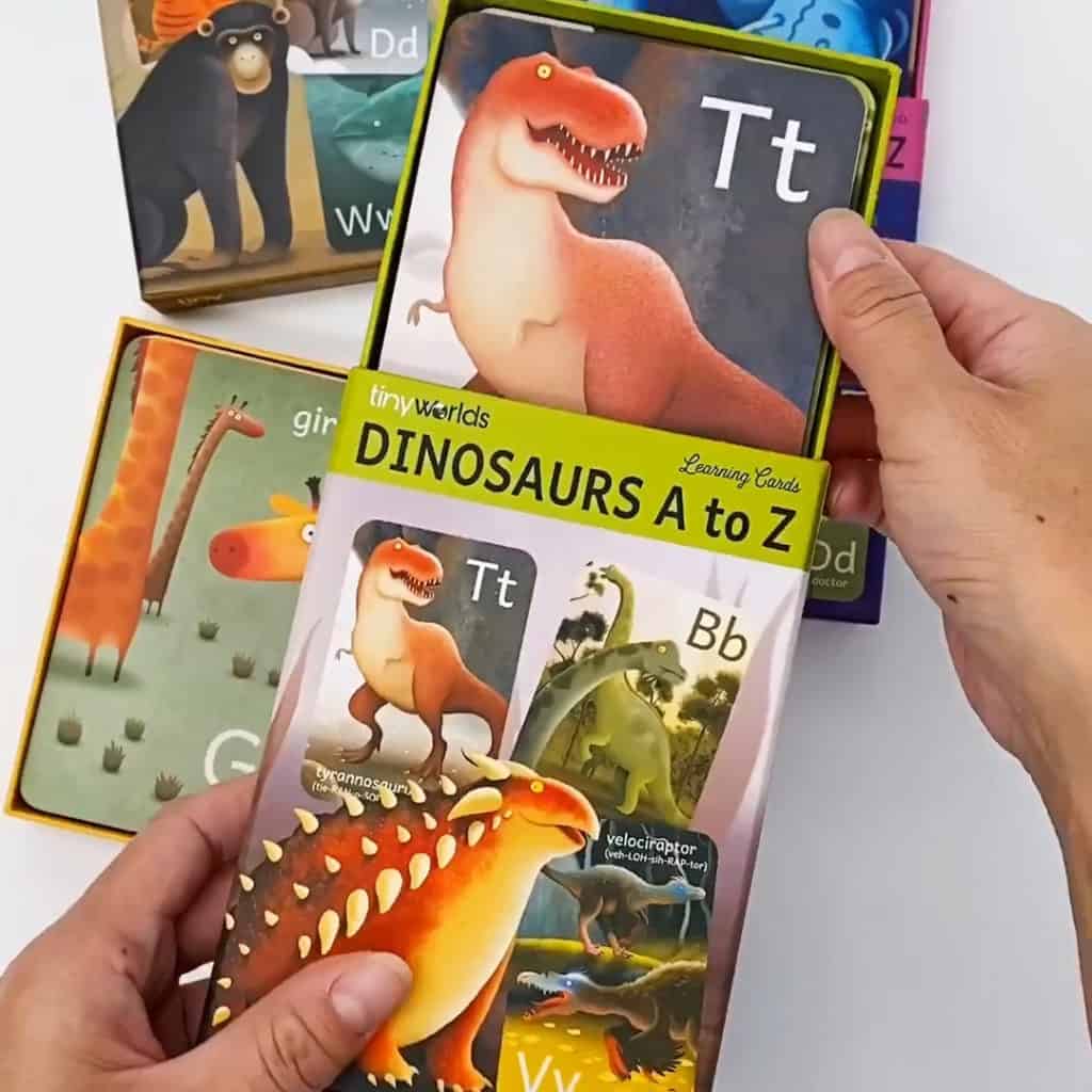 Tiny Worlds Flash Cards