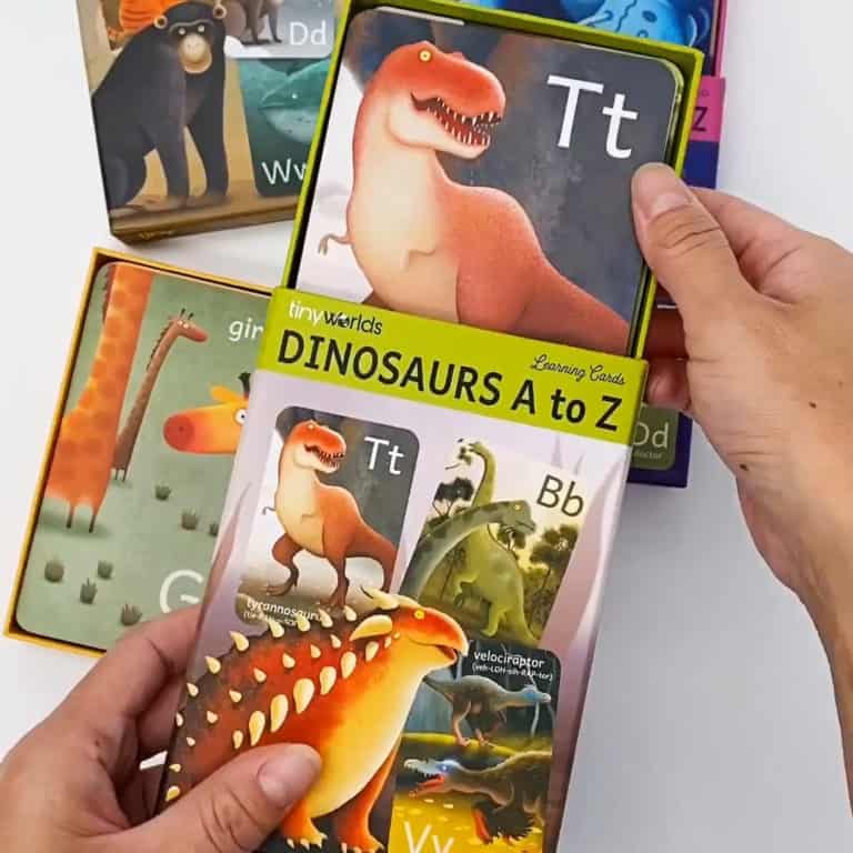 BEAUTIFUL LEARNING FLASH CARDS FROM TINY WORLDS