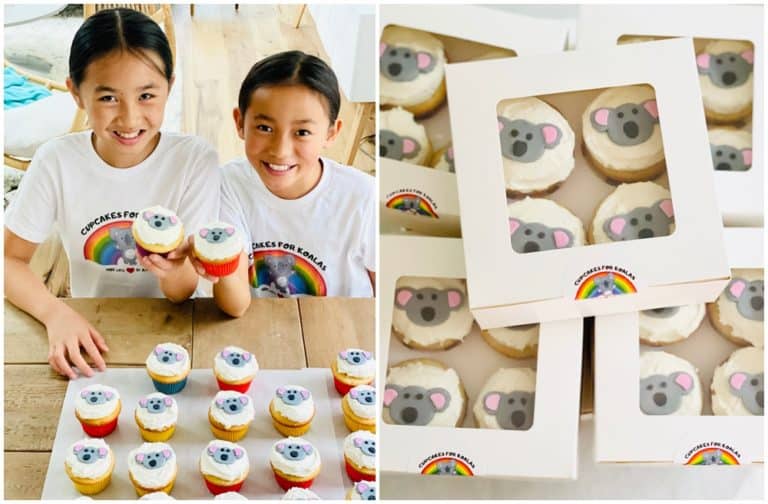 Cupcakes For Koalas Started by Two Kid Bakers to Raise Money for Australian Fires