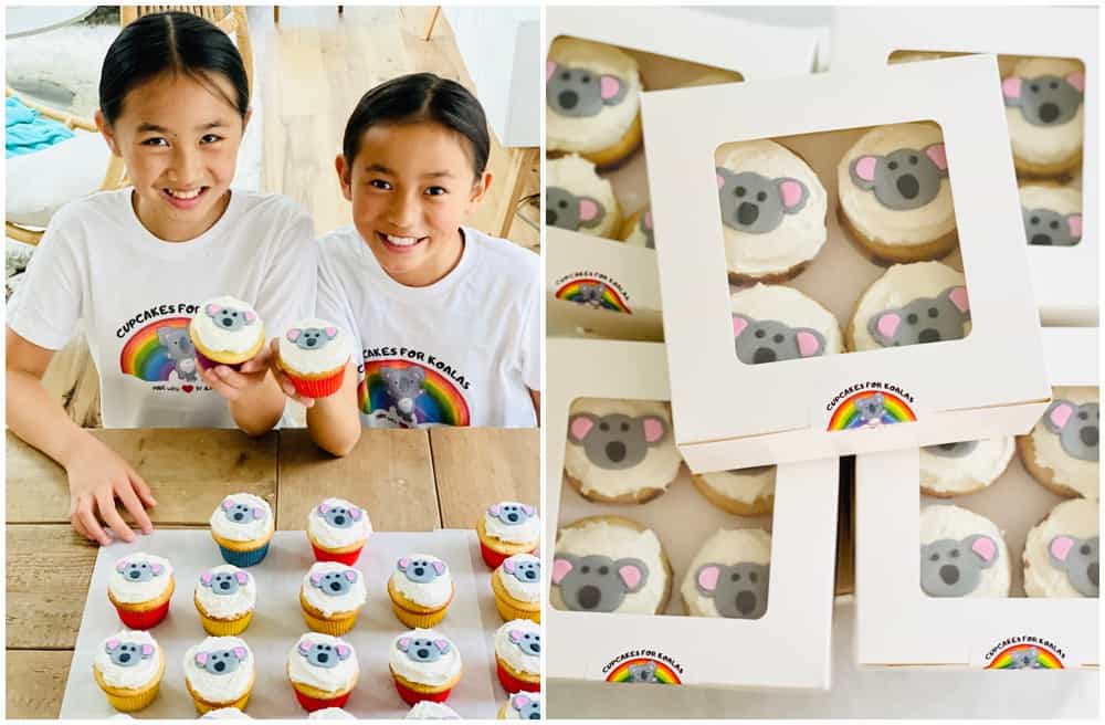 Cupcakes For Koalas was started by two young passionate kid bakers to raise money for the Australian Fires. 