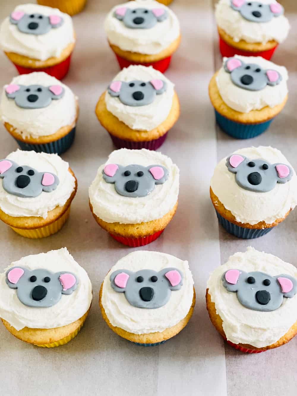 Cupcakes For Koalas Started by Two Kid Bakers to Raise Money for