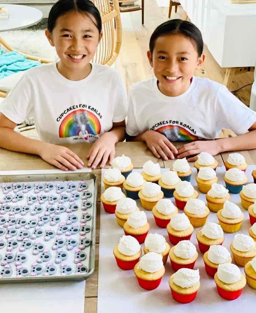 Cupcakes For Koalas raises money for the Australian Fires. 