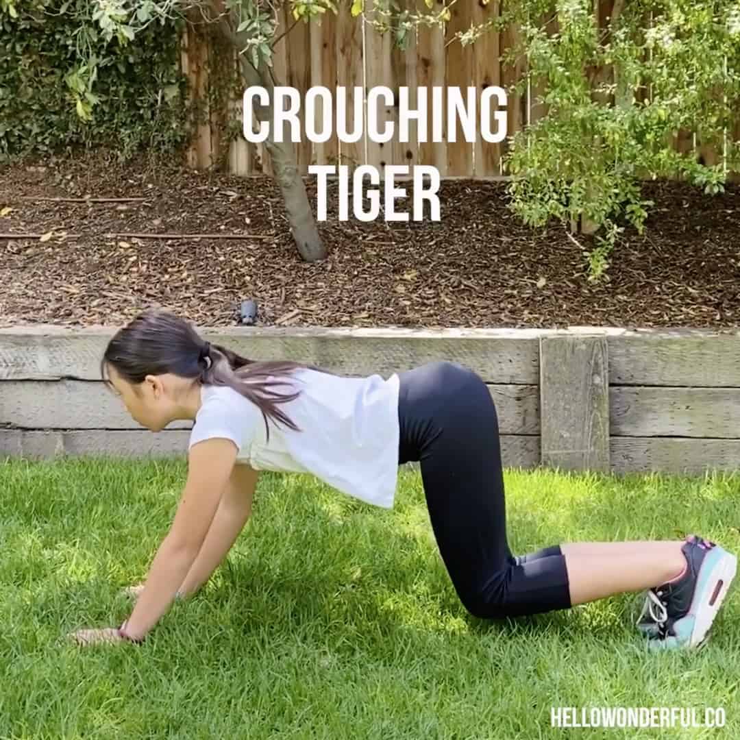 ANIMAL EXERCISES FOR KIDS hello, Wonderful