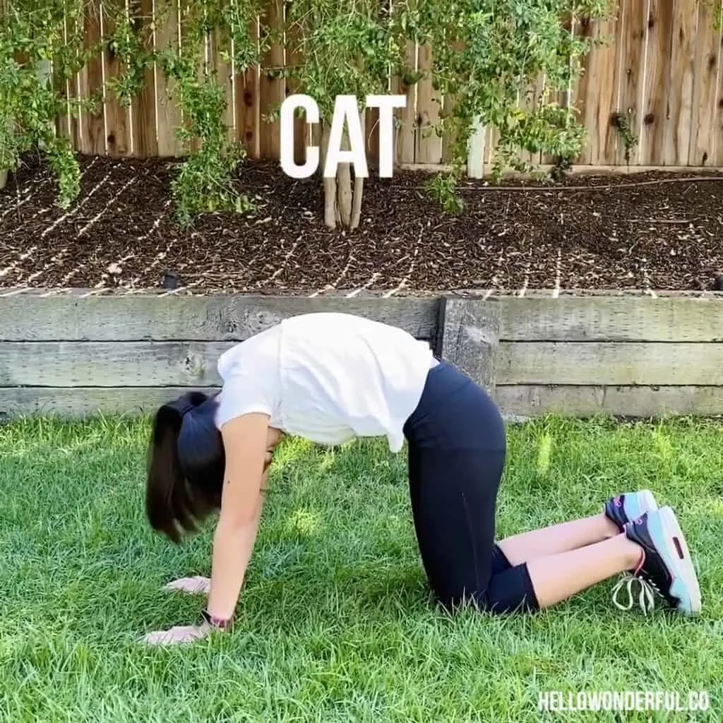 Animal Exercise for Kids. Cat exercise