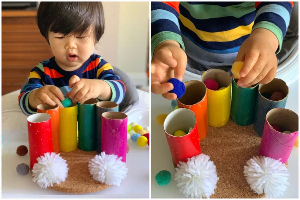 This Rainbow Pom Pom Drop Toddler Fine Motor Skills Activity 