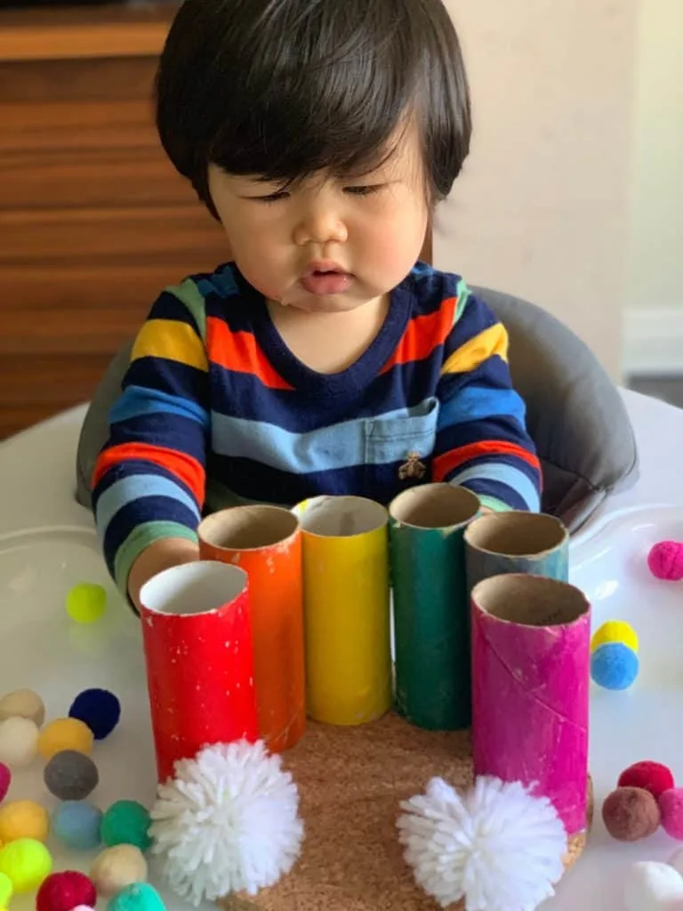 Toilet Paper Tube Rainbow Pom Pom Drop Toddler Fine Motor Skills Activity 